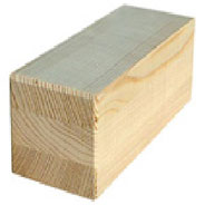 Vzorek dřeviny Borovice